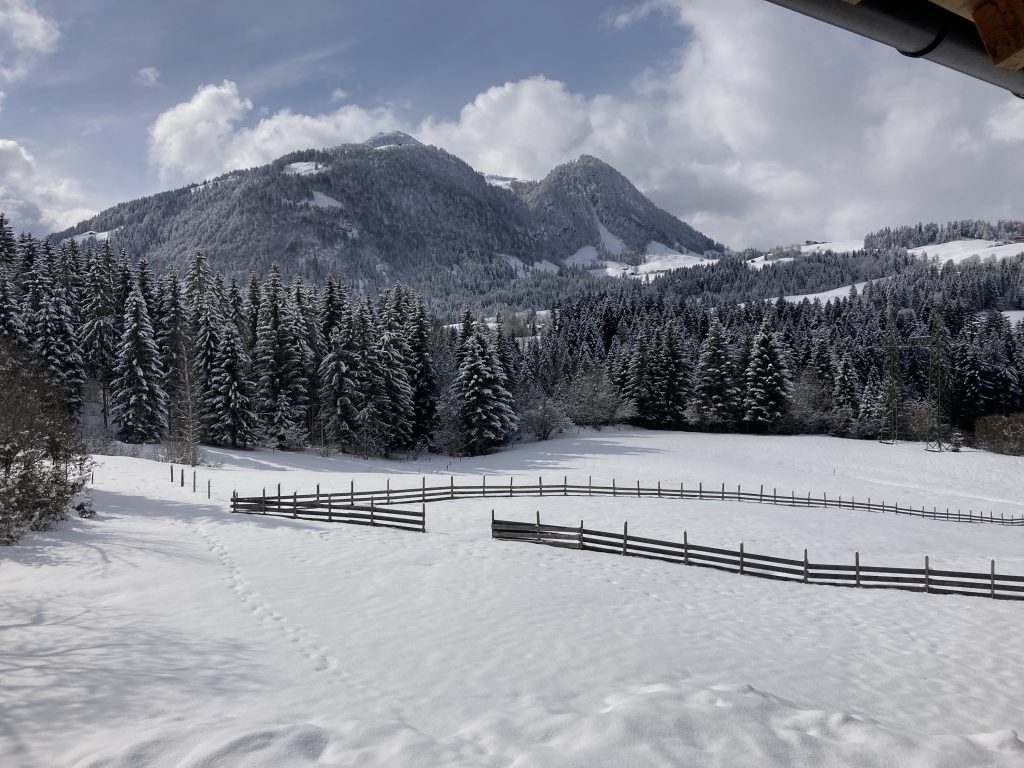 Ferienwohnng Remise am Reitl im Winter winterliche Aussicht_2